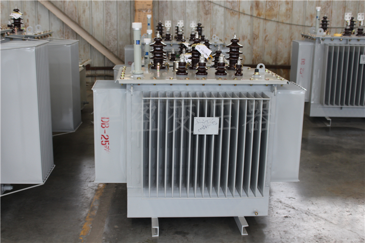 揭阳S20-800kVA/10kV/0.4kV变压器